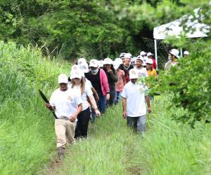 Los escolares fueron guiados en grupos para realizar diferentes actividades que estén relacionadas con la reforestación.