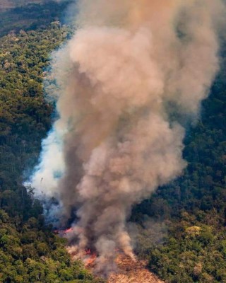 Así luce la Amazonia, el pulmón del mundo devorado por un incendio