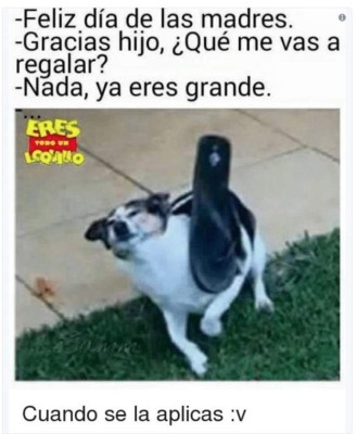 Los mejores memes comemorativos del Día de la Madre