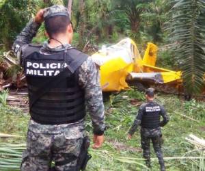 Al parecer una falla mecánica habría obligado al piloto a aterrizar de emergencia; sin embargo, no logró su propósito y se estrelló.