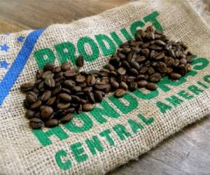 Honduras se posicionó en cuarto lugar como exportador de café en el mundo, pese a la baja causada en las ventas al exterior por efecto de la plaga de la roya.