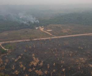 En veinte municipios Amazónicos se concentran el 85% de los incendios forestales.