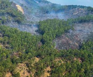 Así luce actualmente una parte aledaña a la reserva natural luego del incendio que comenzó el lunes.