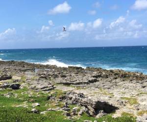 Los biólogos afirman que la cárcel no es compatible con la biodiversidad de la isla.