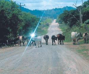 El proyecto, que comprende 18.4 kilómetros y está valorado en 201 millones de lempiras, se ubica entre el sector de Limones, Pozo Zarco, Salamá y el puente Quebrada Ulúa.