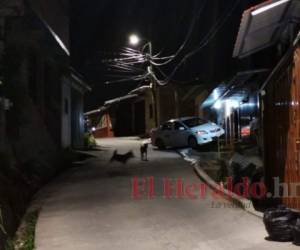 El taxista chocó contra el portón de una vivienda tras sufrir las heridas que terminaron con su vida. Fotos: Estalin Irías/EL HERALDO.