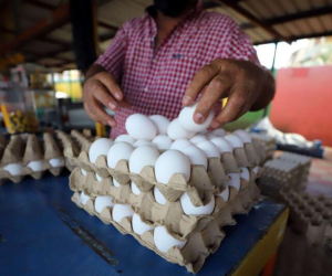 Un cartón de huevos se compra en los mercados capitalinos por 55 lempiras o menos.