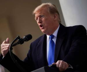 US President Donald Trump delivers remarks in the Rose Garden at the White House in Washington, DC on February 15, 2019. (Photo by Brendan SMIALOWSKI / AFP)