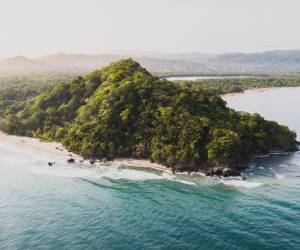 Las autoridades gubernamentales a través del Instituto de Conservación Forestal (ICF) impulsan la conservación de áreas protegidas y corredores biológicos en varias regiones del territorio nacional.