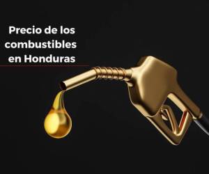 Los cambios en los precios de los combustible se verán reflejados a partir del lunes 19 de agosto.