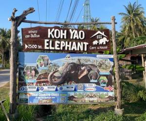 Cartel del centro ‘Koh Yao Elephant Care’ en Tailandia, en una foto del 4 de enero de 2025.