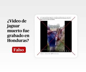 Captura de pantalla a una publicación en X/Twitter realizada el 24 de septiembre de 2024, adaptada a esta cartela.