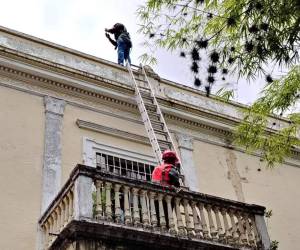 Debido al deterioro del edificio, la recuperación tardará más de un año, lo que significa que podría estar listo y abrir sus puertas en el 2026.