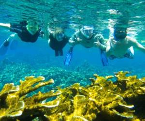 Islas de la Bahía, un paraíso que encanta a nacionales y extranjeros.