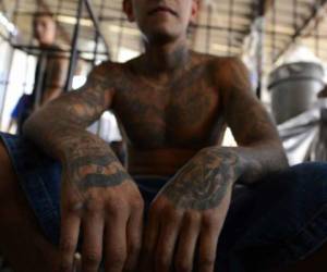 Según investigaciones, la famosa MS-13 se fundo en Los Ángeles, Estados Unidos.