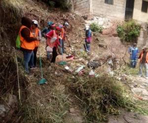 Durante la semana se realizarán fumigaciones, destrucción de criaderos y supervisión de pilas en cuatro sectores de la Villa Nueva.