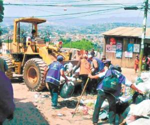 La destrucción de los criaderos debe ser la prioridad en esta temporada.