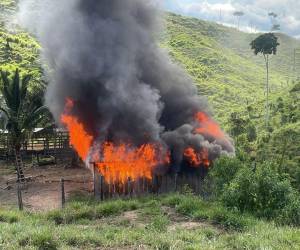 El narcolaboratorio se encontraba ubicado en la zona núcleo del Parque Nacional Patuca.