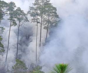 Con este siniestro suman 14 los incendios en la montaña de Triquilapa, cerca de la capital.