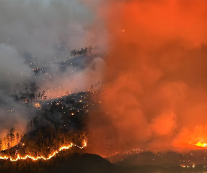 El Parque Nacional La Tigra se convirtió en un caótico escenario infernal tras desatarse un voraz incendio forestal, el cual ha arrasado con decenas de hectáreas de bosque en menos de 20 horas. Aquí te mostramos la recopilación de las imágenes más impactantes hasta el momento.