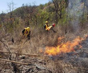 Las labores de extinción comenzaron desde el jueves 31 y a la fecha no han logrado sofocar el fuego.