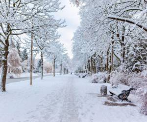 Se espera más de dos metros de nieve en los estados donde se esperan tormentas invernales.