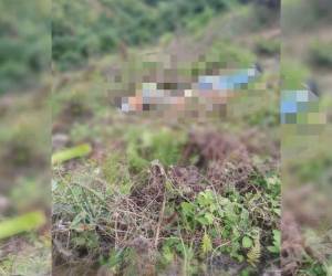 Los cuerpos fueron encontrados sin cabeza en una zona llena de maleza.