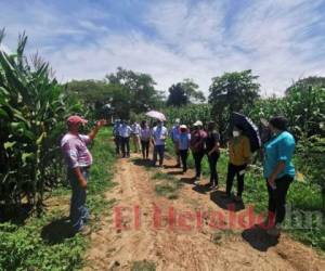 Los primeros estudiantes matriculados conocieron a sus docentes y las instalaciones y zonas de producción de UNAG en Comayagua. Foto: El Heraldo