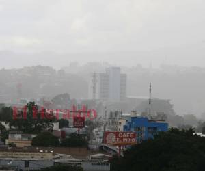 Durante la semana las condiciones del clima han sido frescas.