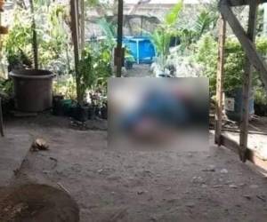 Tendido en el patio de una vivienda el cuerpo de un hombre cuya identida no ha sido revelada.