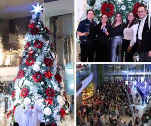 El majestuoso árbol de Navidad ya aparece encendido en corazón del centro comercial Altara, simbolizando el ferviente espíritu festivo de estas fechas.