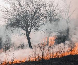 Más de 100 incendios se propagaban por la provincia, 29 de ellos fuera de control.