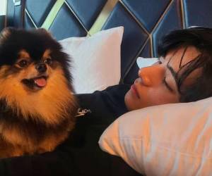 En numerosas entrevistas “V” de BTS habló sobre la importancia de regresar a casa y ser recibido por su fiel amigo Yeontan.