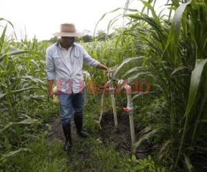 La obra de irrigación que fue promovida como una solución para enfrentar sequías en uno de los valles más fértiles del país.