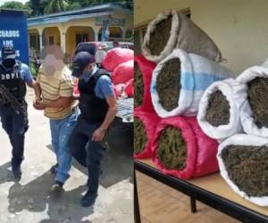 Una 120 libras de supuesta marihuana tenía el hombre en su vivienda.