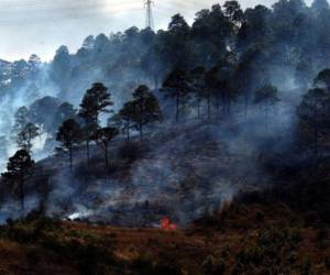 Para enero el número de áreas vulnerables a los incendios que registra la plataforma del ICF es de 1.5 millones de hectáreas.