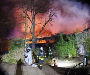 'La gente reportó ver esas linternas volando a baja altitud cerca del zoológico y luego comenzó a incendiarse'. Foto: AP.