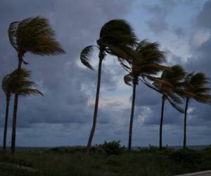 Emily, que se formó en el Golfo de México, tocó tierra a media jornada y se dirige a 17 km/hora hacia el océano Atlántico, atravesando la península de Florida por su zona centro-sur, según meteorólogos.