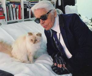 Karl Lagerfiel y Choupette estuvieron juntos por más de 8 años.