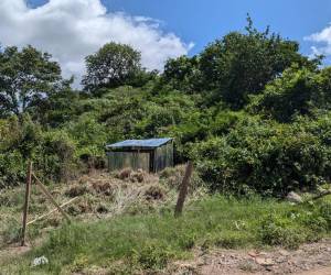 La colonia, de categoría R1 y situada en una zona céntrica, carece de sistema de agua potable y alcantarillado sanitario.