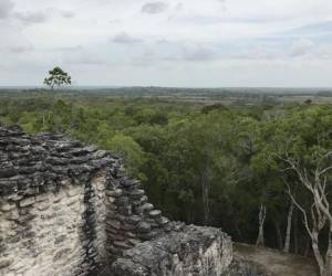 La región de Campeche fue un centro neurálgico de la civilización maya, especialmente en el Período Clásico.