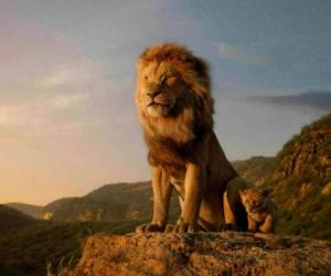 En esta imagen difundida por Disney, los personajes de Mufasa y Simba, cuyas voces en inglés hacen James Earl Jones y JD McCrary, en una escena de la nueva versión de 'The Lion King' ('El rey león') dirigida por Jon Favreau. (Disney vía AP)