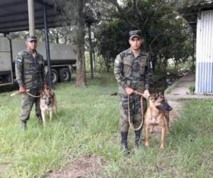 El contingente enviado en representación de Honduras y en solidaridad al pueblo y gobierno de México asistirán por siete días con los hermanos mexicanos para agilizar el rescate de sobrevivientes en las zonas más afectadas por el terremoto de 7.1 que sacudió ciudades de México.