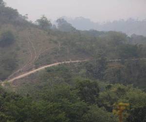 El acuerdo promete poner un alto a la deforestación en la biósfera y otras zonas protegidas.