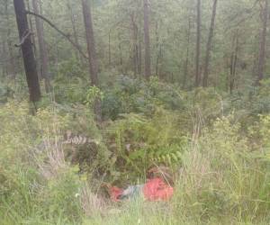 El cuerpo del hombre fue abandonado entre los matorrales a orilla de la carretera.