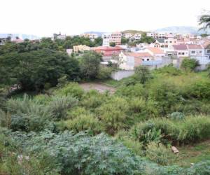 Este parque ecológico se construirá en un predio ubicado entre las colonias Hato de Enmedio, El Trapiche y San Ignacio.