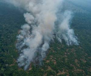 El viernes, un avión cisterna Boeing 747-400 llegó a Bolivia para ayudar en las tareas de combate al incendio. El avión proveniente de Estados Unidos puede transportar entre 75,000 y 100,000 litros de agua y otras sustancias que ayudan a sofocar los incendios.