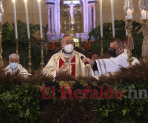 El retiro del cardenal Óscar Andrés Rodríguez sería hasta diciembre cuando cumple 80 años.