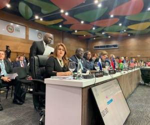 María Dolores Agüero, canciller de Honduras, ocupará la vicepresidencia de la OEA durante la 49 Asamblea General. Foto: OEA Honduras