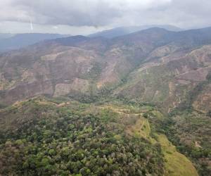 El acuerdo promete poner un alto a la deforestación en la biósfera y otras zonas protegidas.